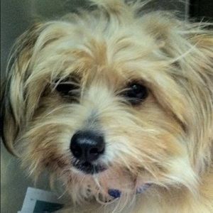 Meet your Posher, Savannah